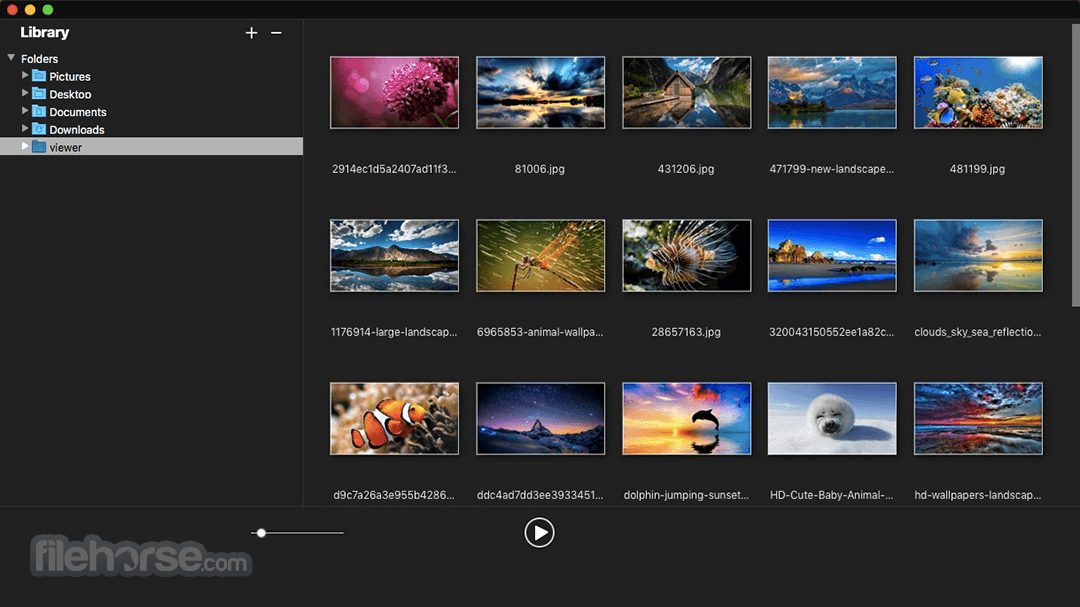 Canon image browser download